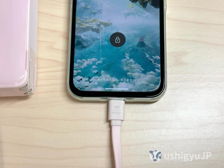 Anker Power Bank FusionでPixel 8aを急速充電