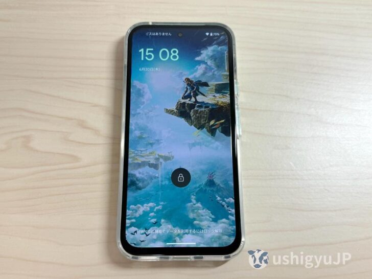 Turtle Solidを実際にPixel 8aに装着してみた