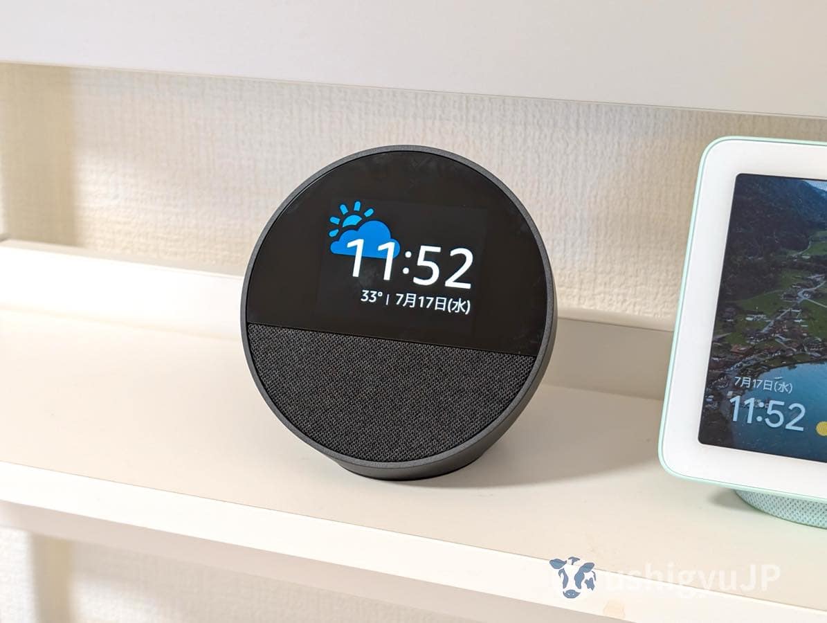 Echo Spot