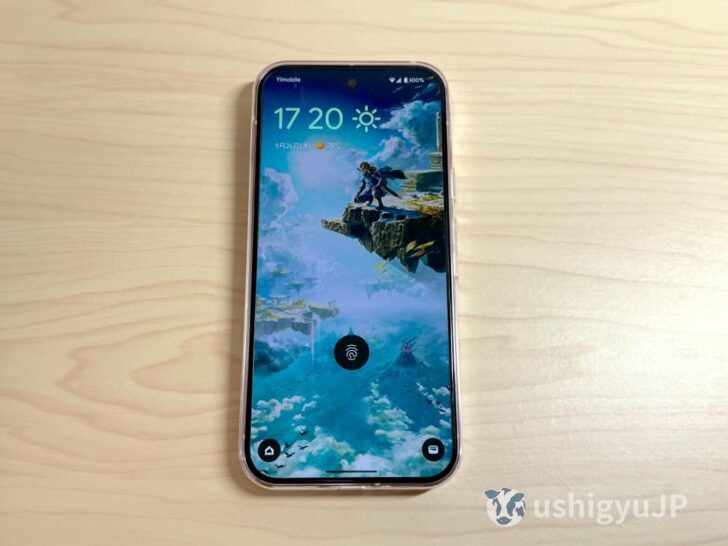 非常に薄いので、ケースがない状態のPixel 9 Proとほとんど変わらない