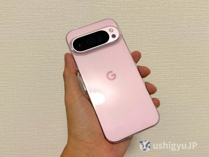 透明度が高くサイズ感もPixel 9 Proほぼそのまんま