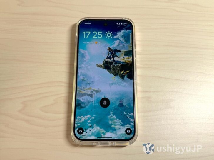 Pixel 9 ProにAEGISケース着せてみた